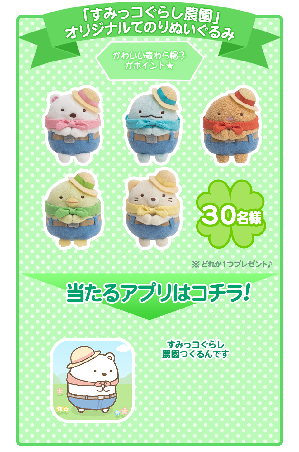 image.php?image_seq_id=13979&